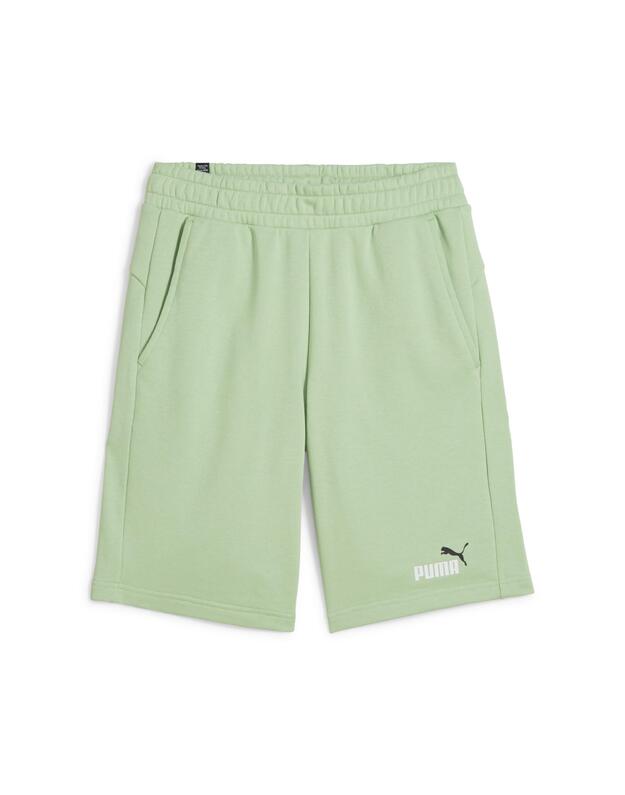 PUMA  ESS+ 2 Col Shorts 10" šortai