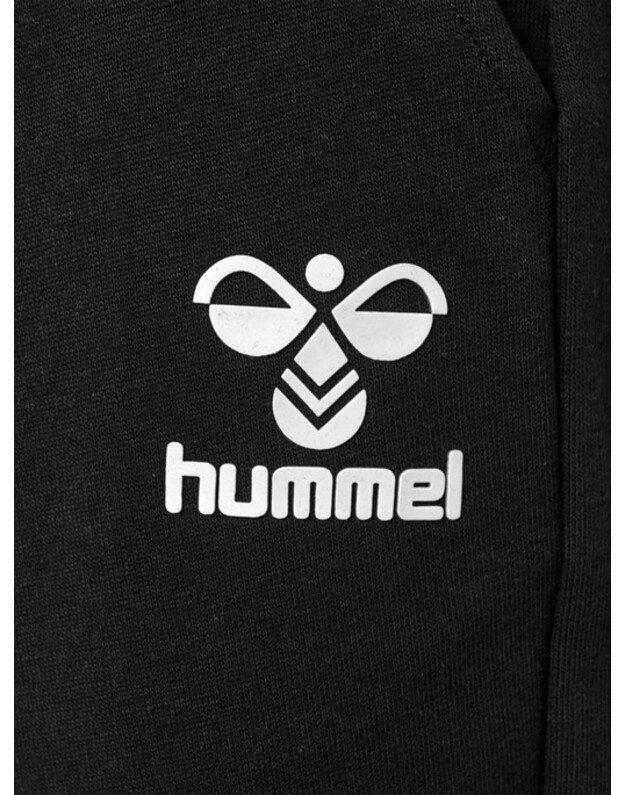 HUMMEL hmIICONS REGULAR šortai